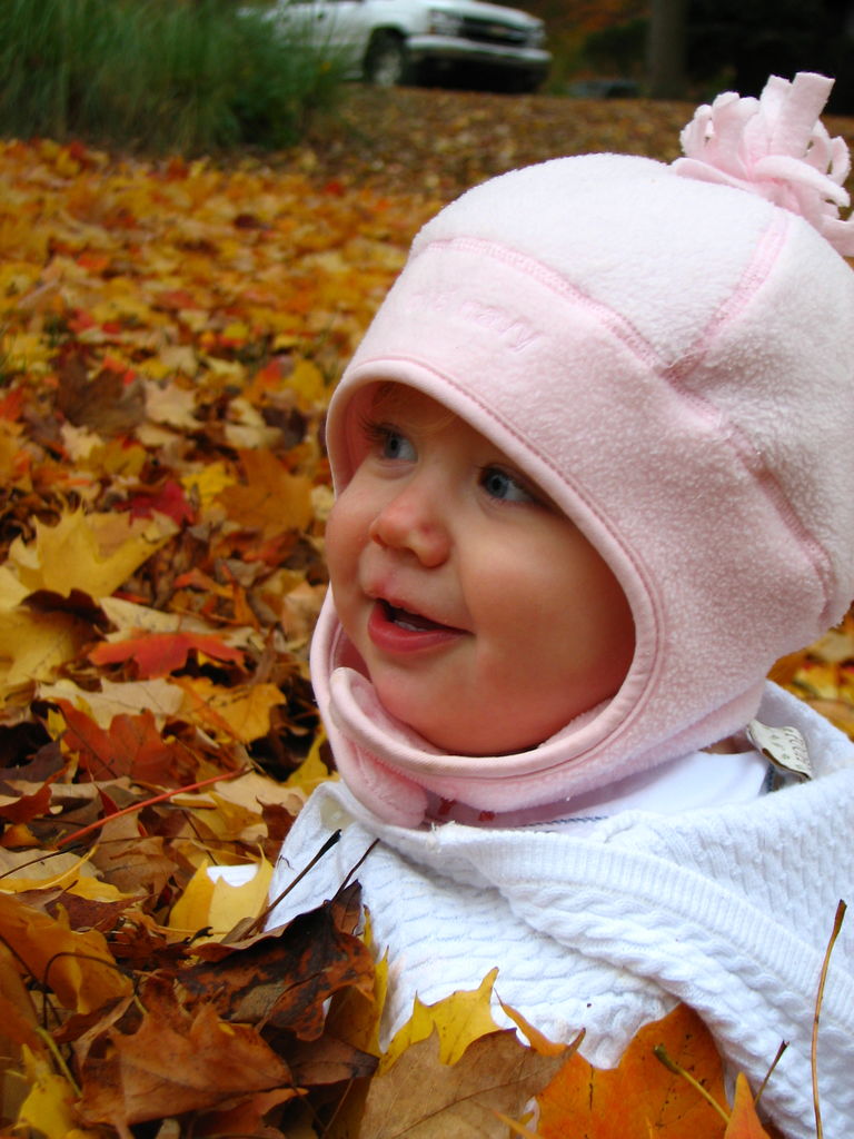 Fall Day at the Gradys'
