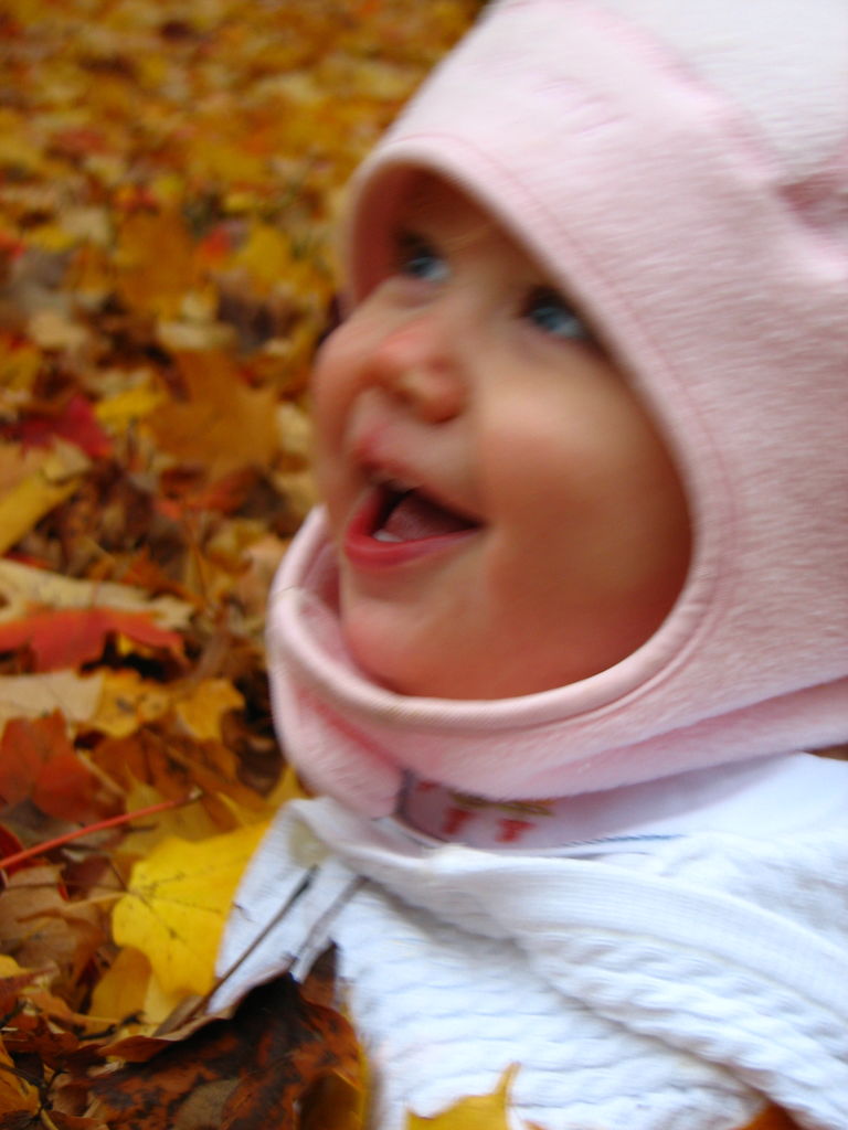 Fall Day at the Gradys'
