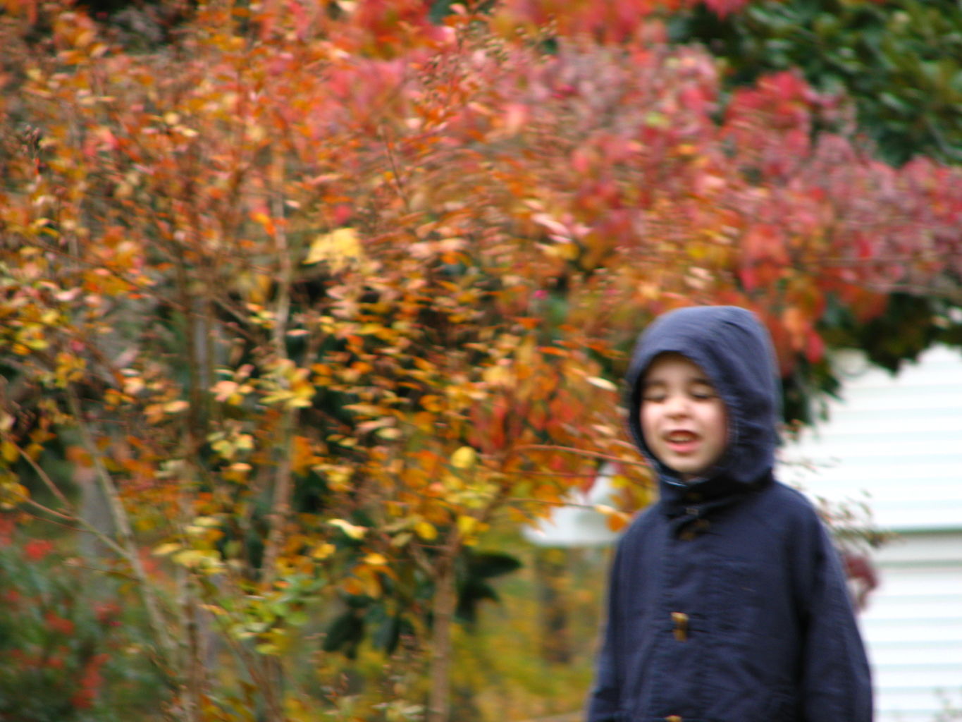 Fall Day at the Gradys'

