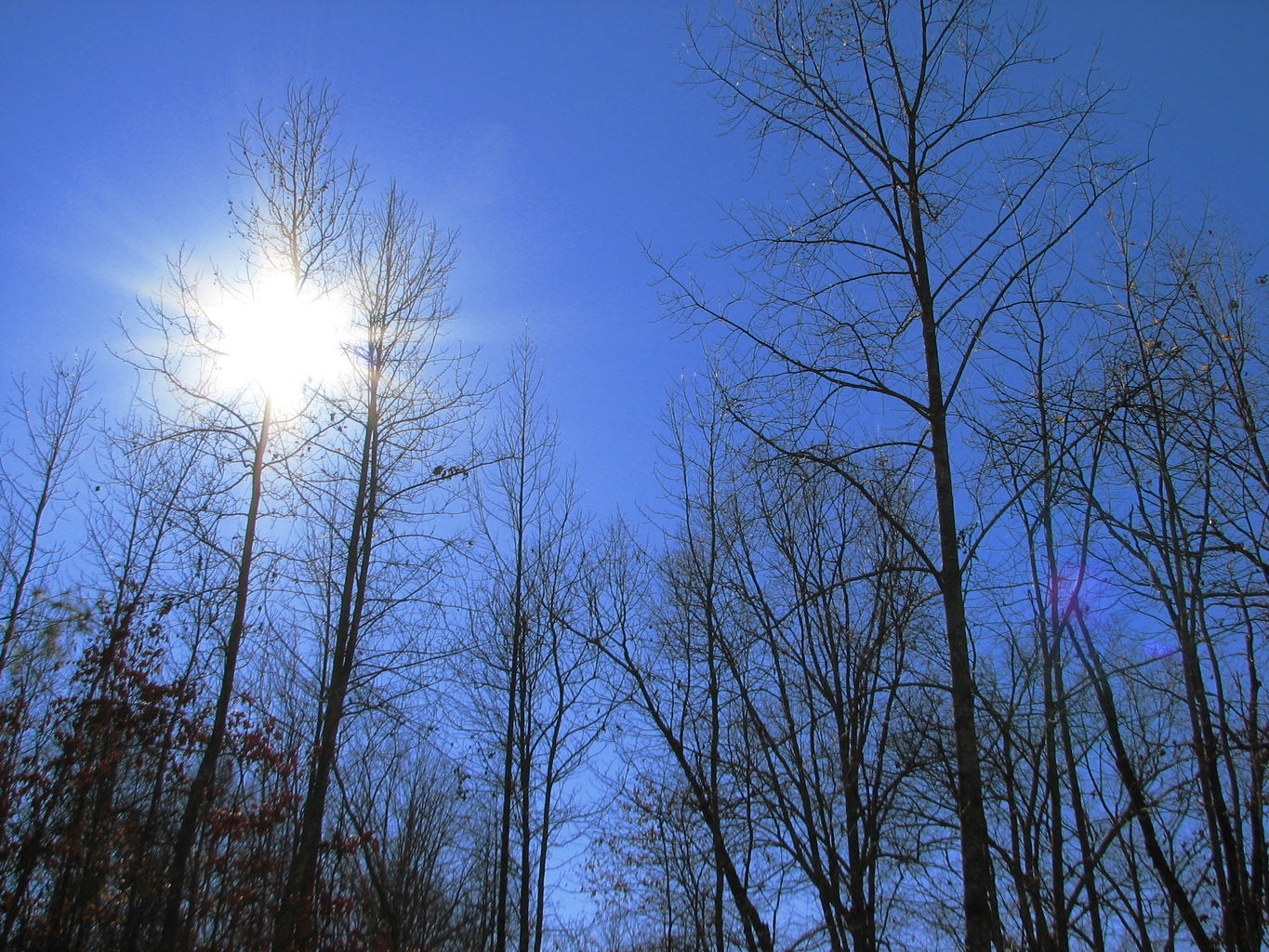 Curry Creek Park
