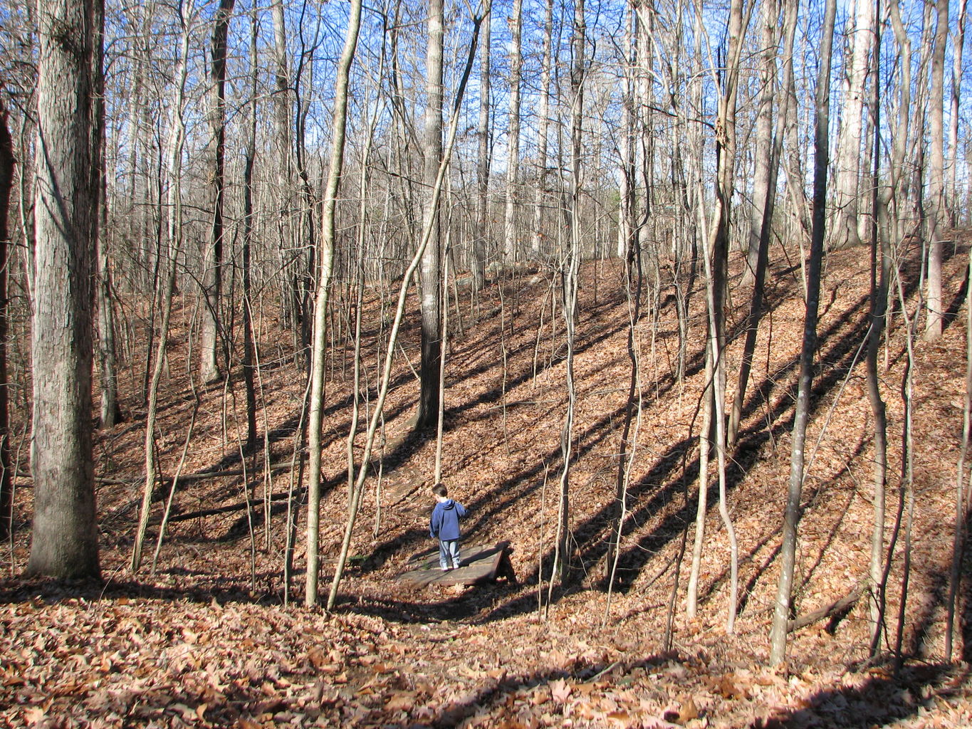 Curry Creek Park
