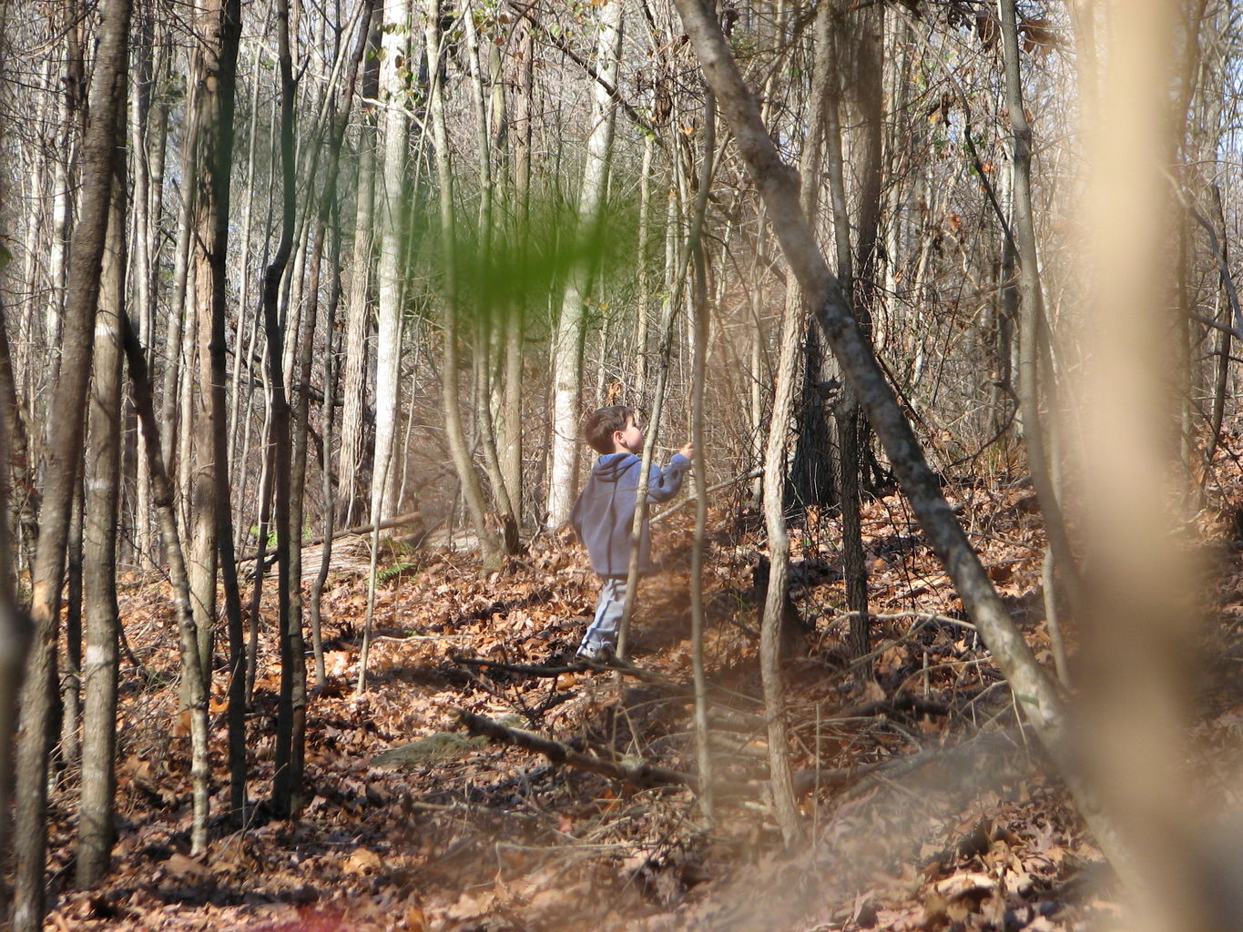 Curry Creek Park
