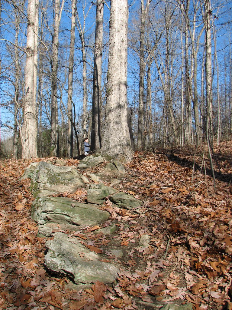 Curry Creek Park
