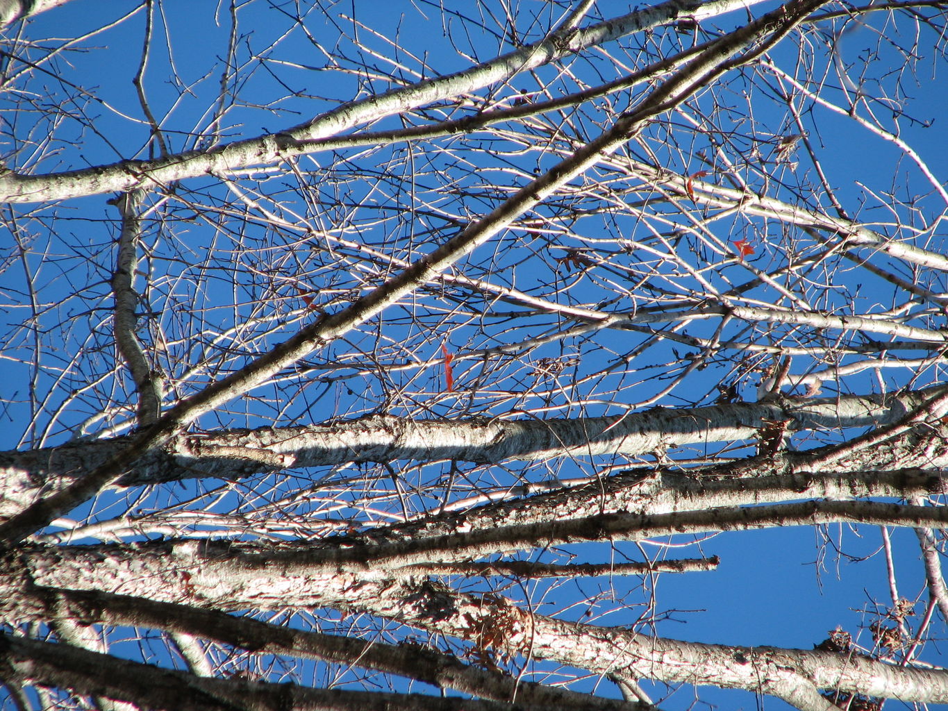 Curry Creek Park
