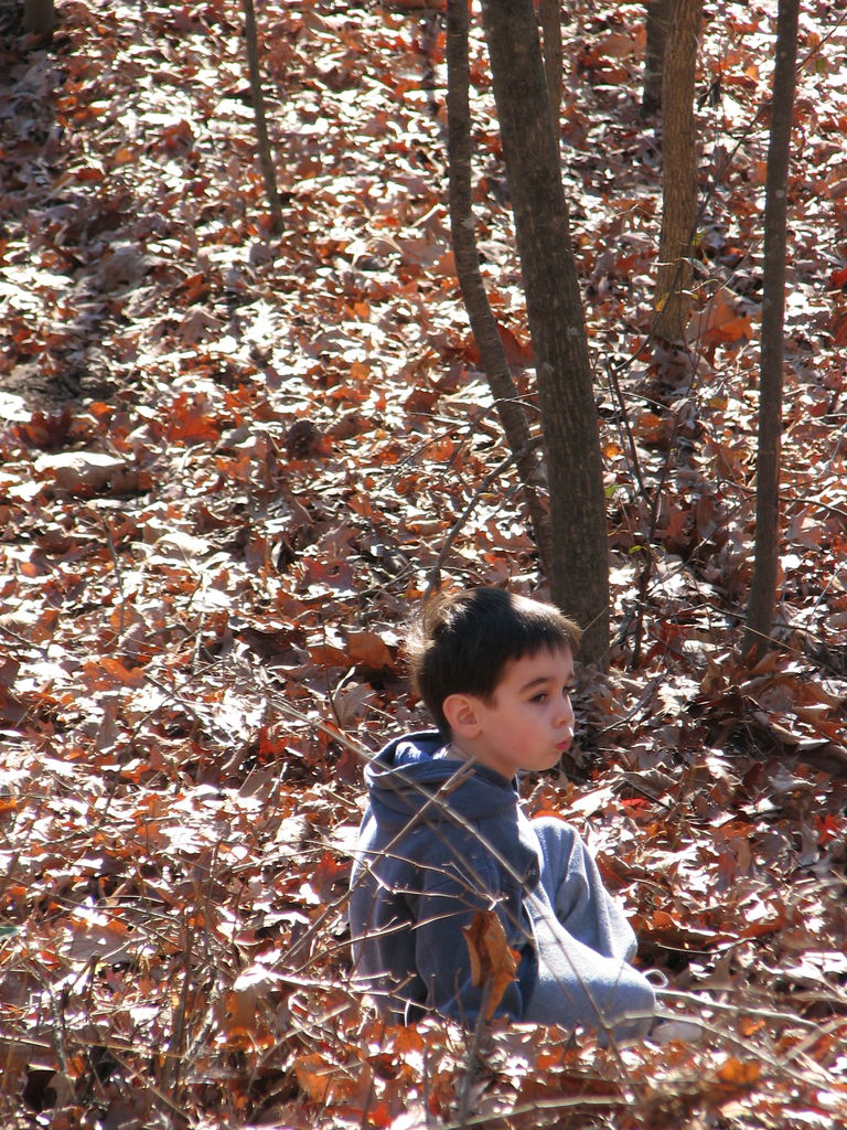 Curry Creek Park
