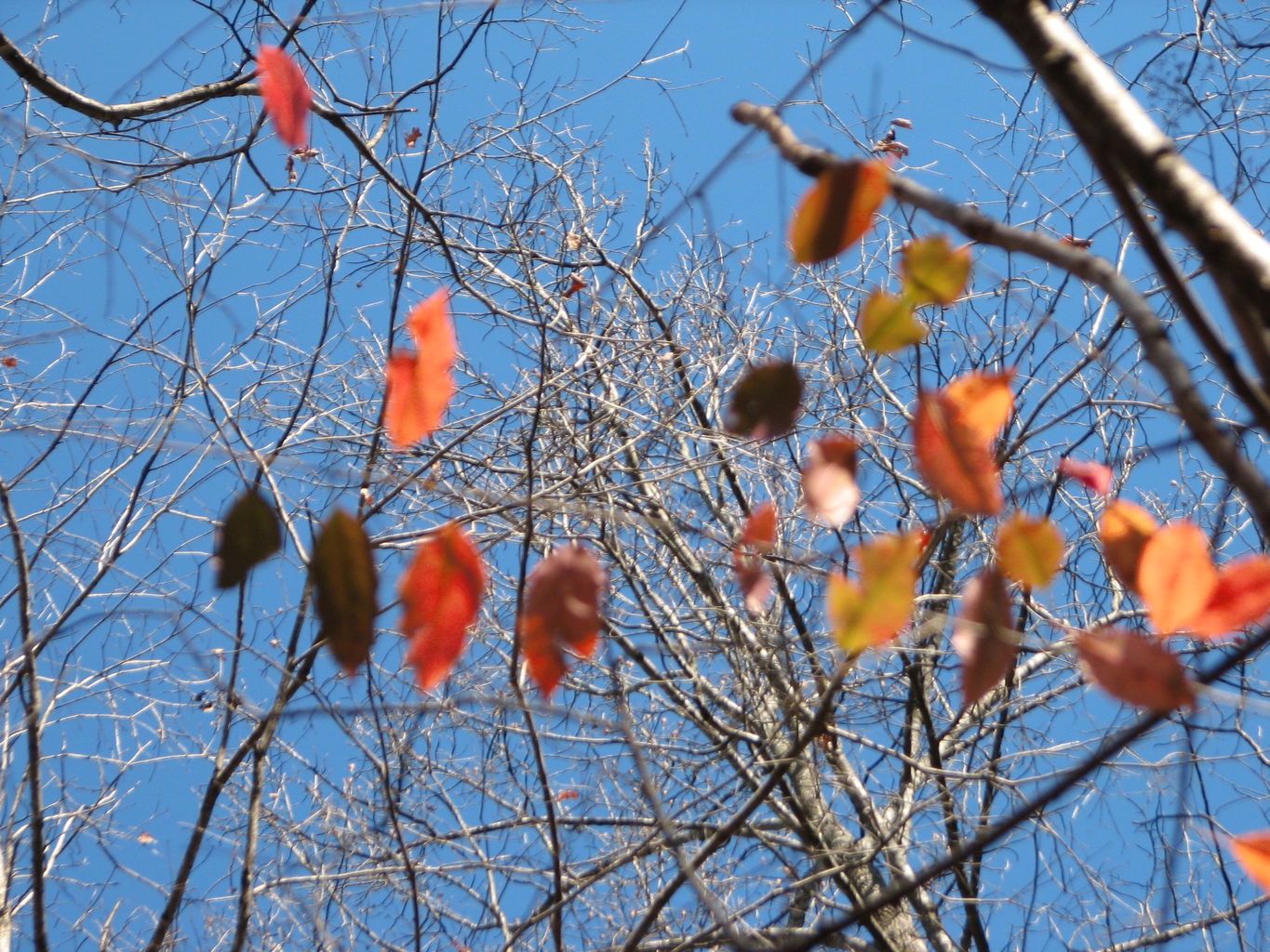 Curry Creek Park
