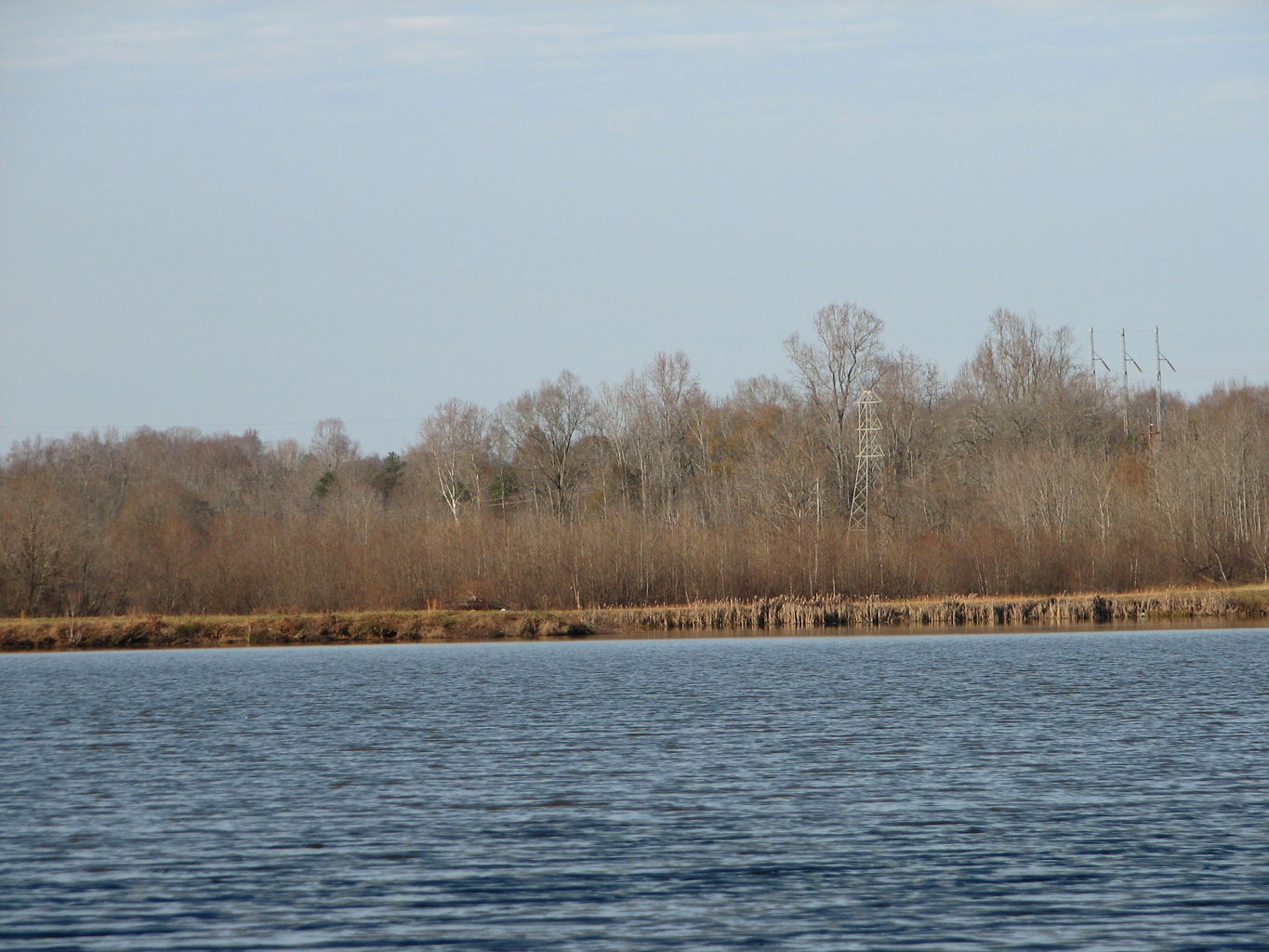 Curry Creek Park
