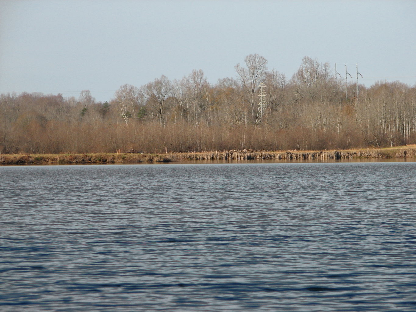 Curry Creek Park

