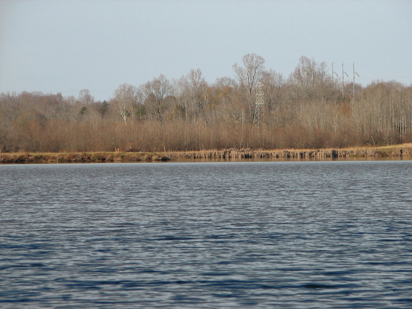 Curry Creek Park
