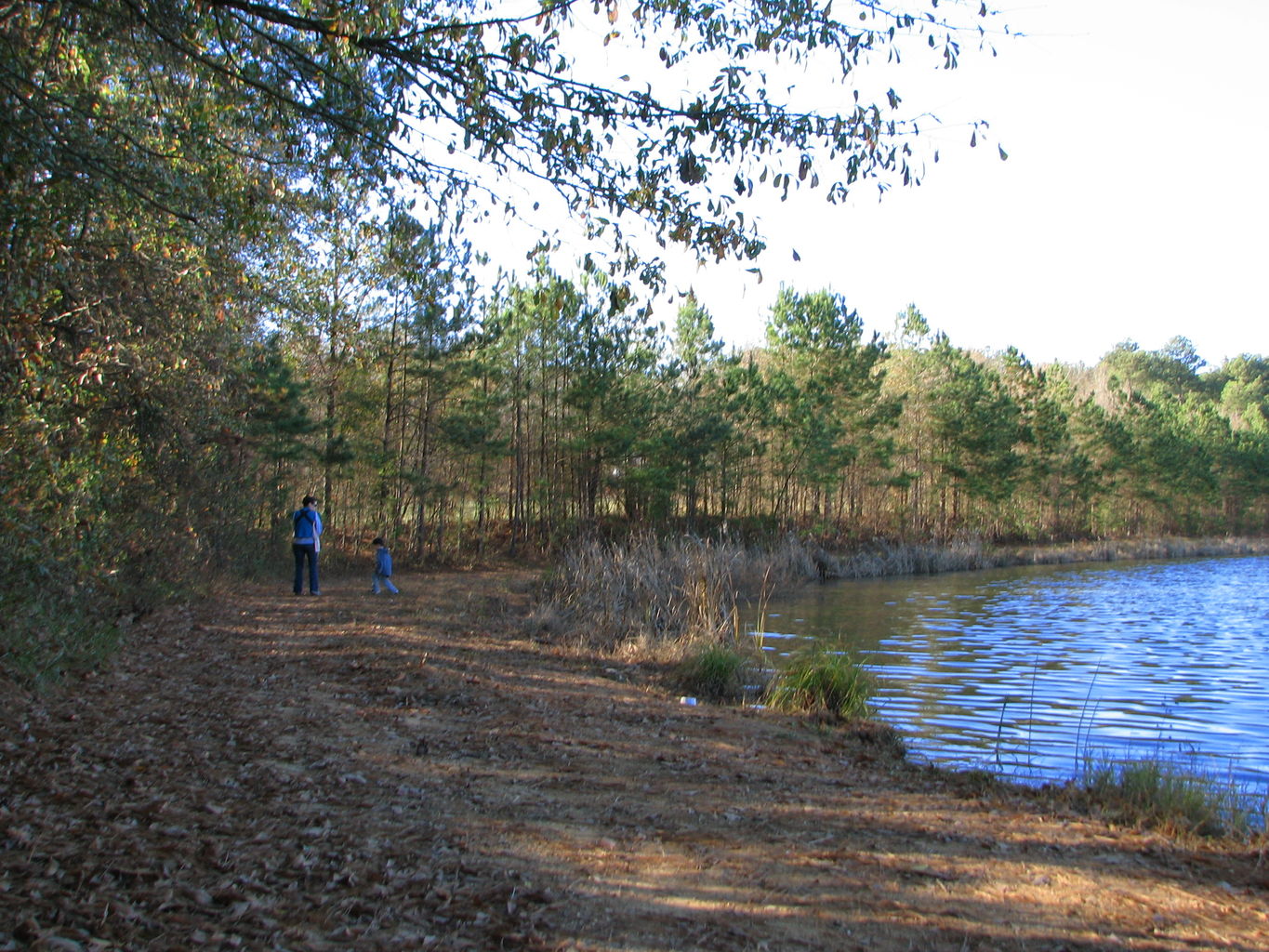 Curry Creek Park
