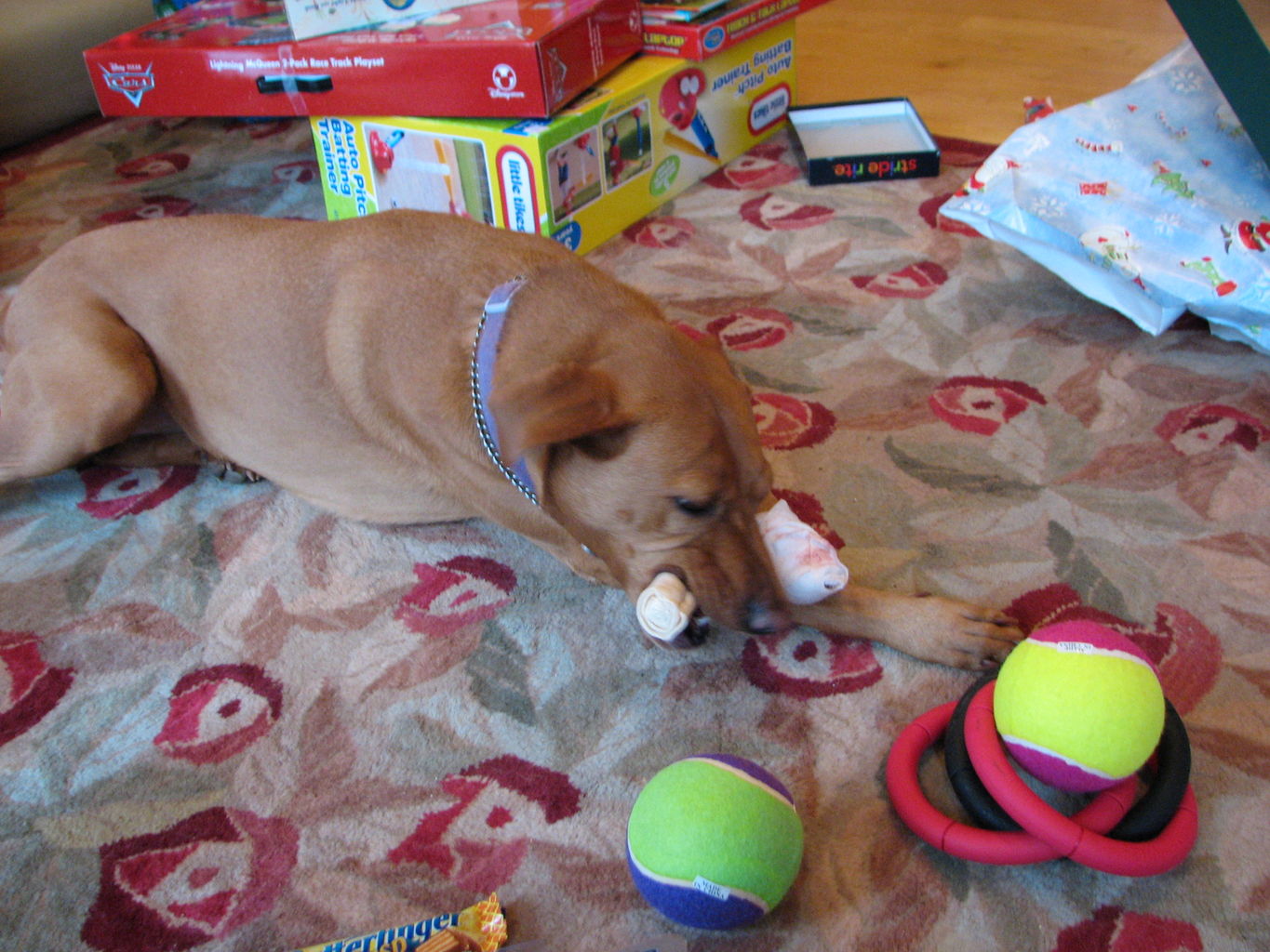 Christmas 2006
