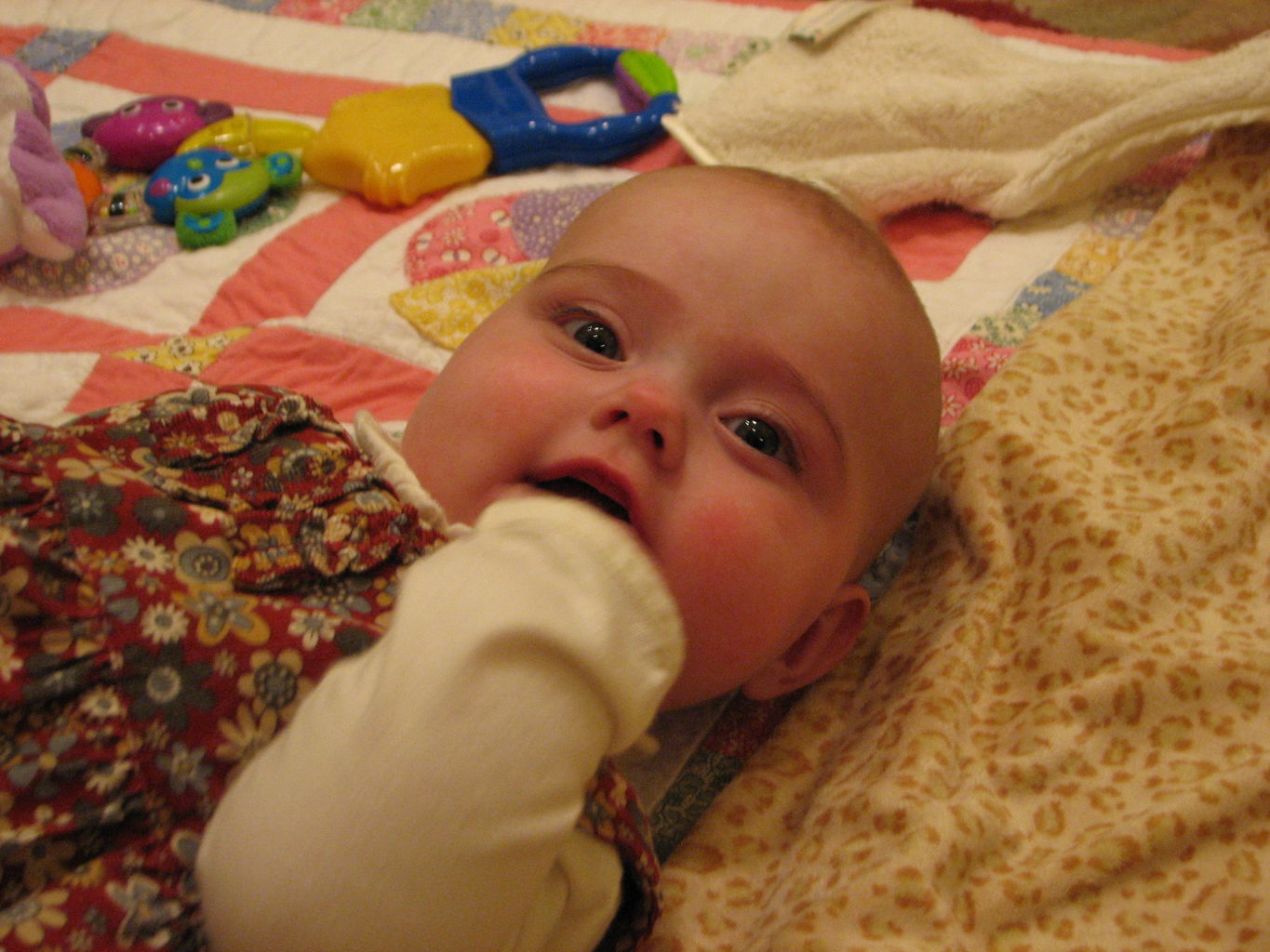 Hazel Playing on Floor