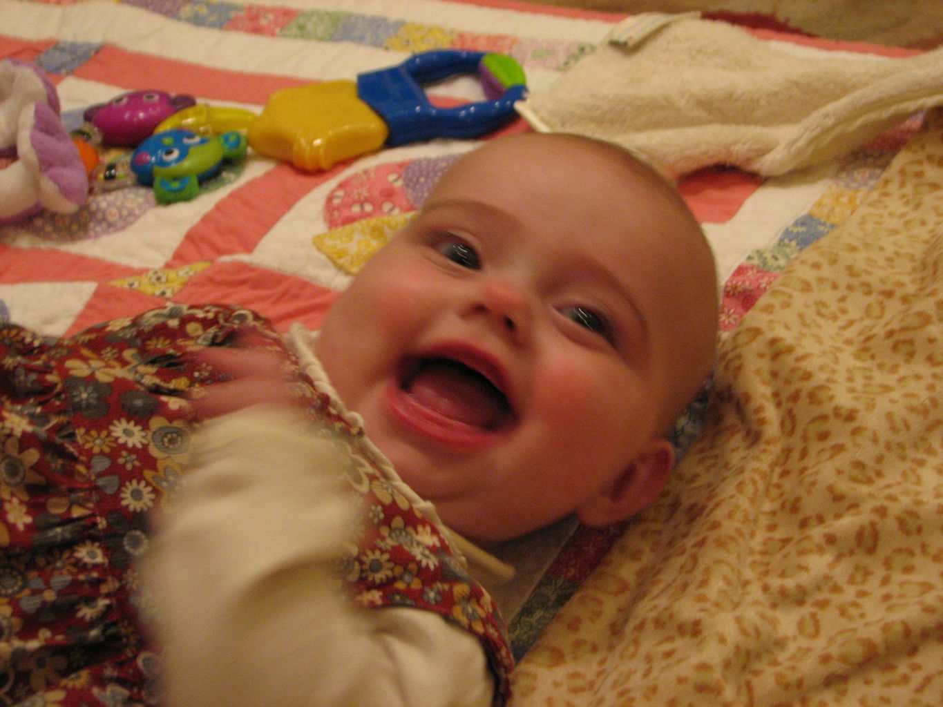 Hazel Playing on Floor