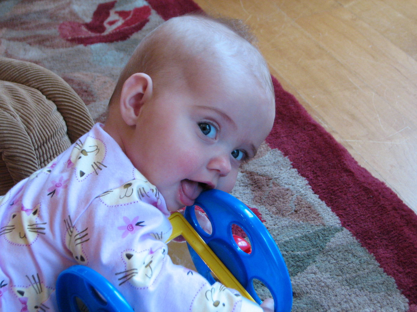 Hazel Playing on Floor