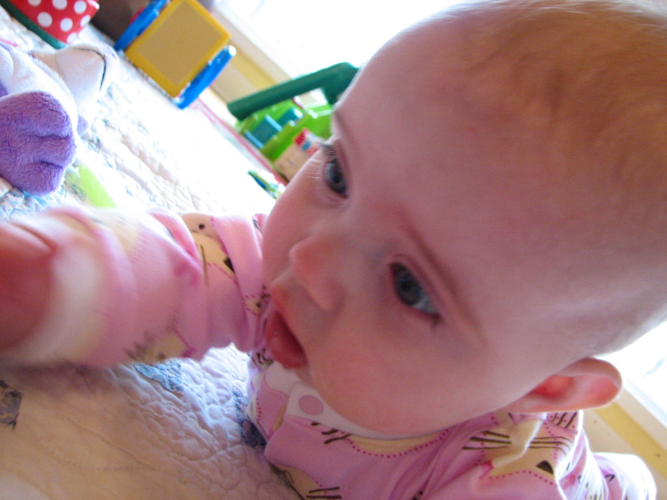 Hazel Playing on Floor