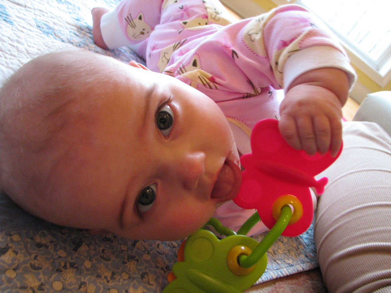 Hazel Playing on Floor