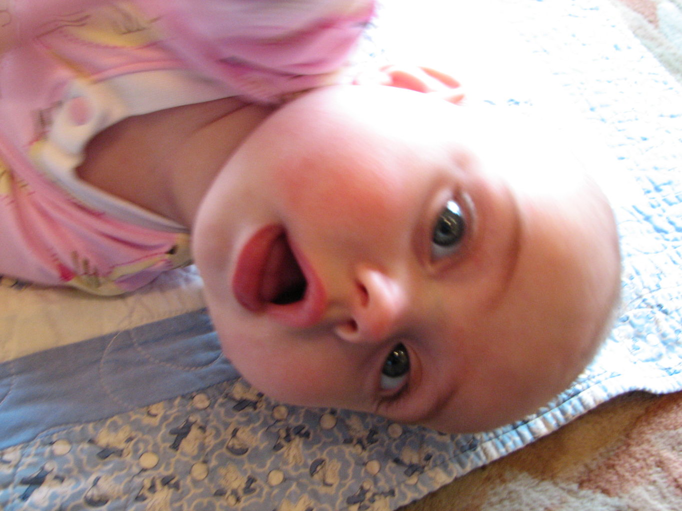 Hazel Playing on Floor