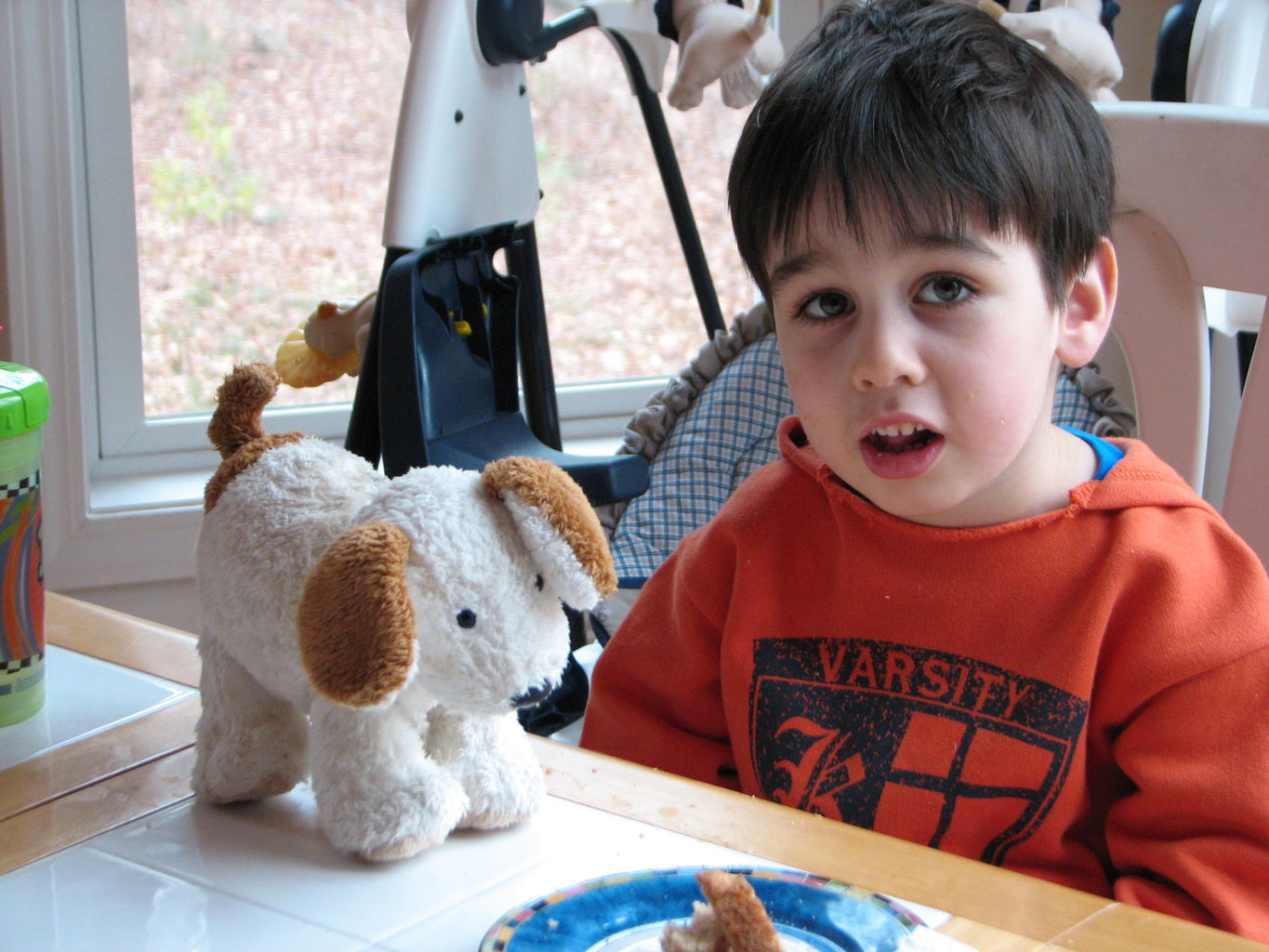 James and the Toy Puppy