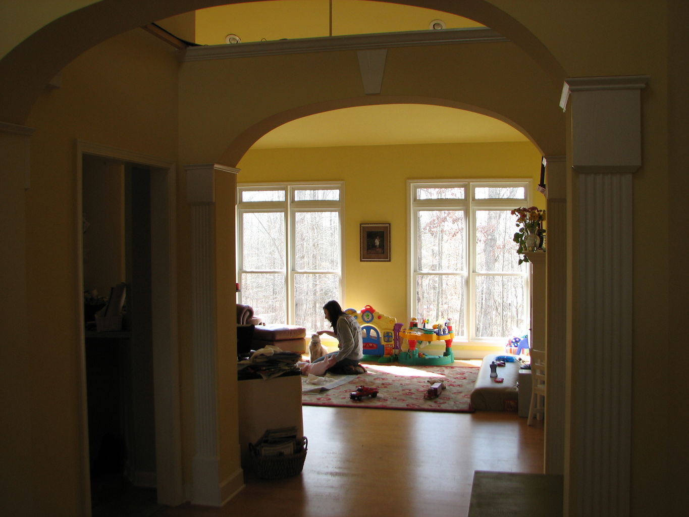 House Pictures