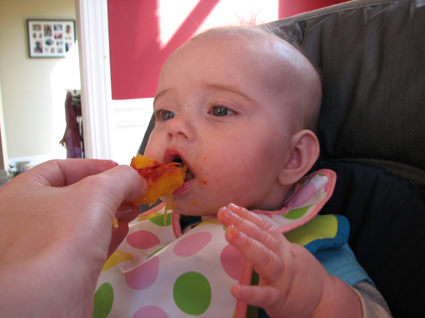 Hazel's First Peaches