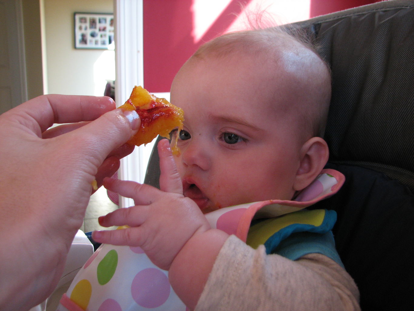 Hazel's First Peaches