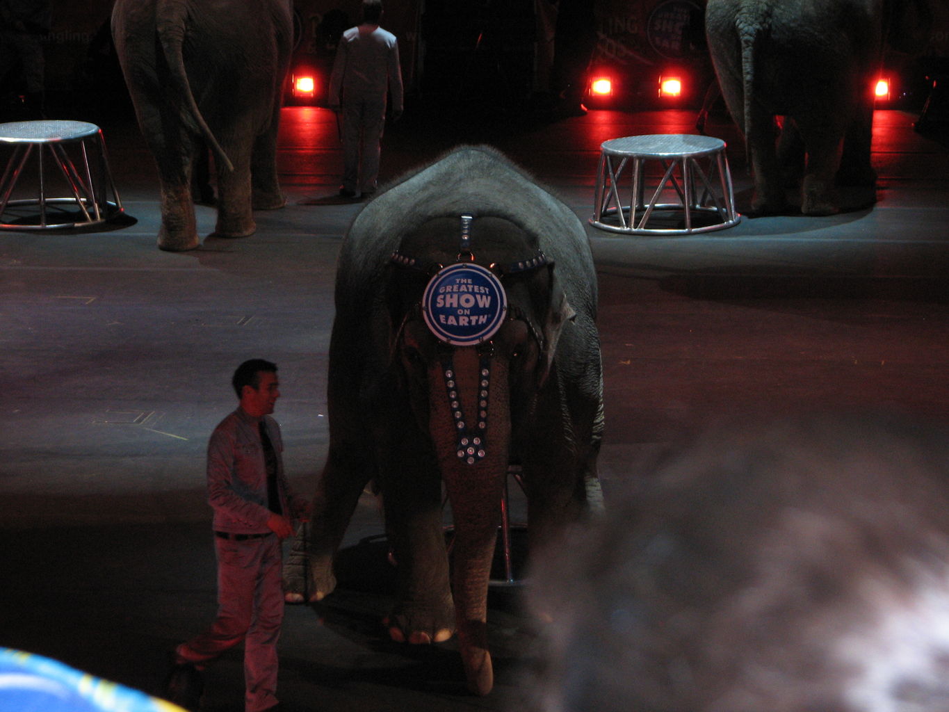 James goes to the Circus