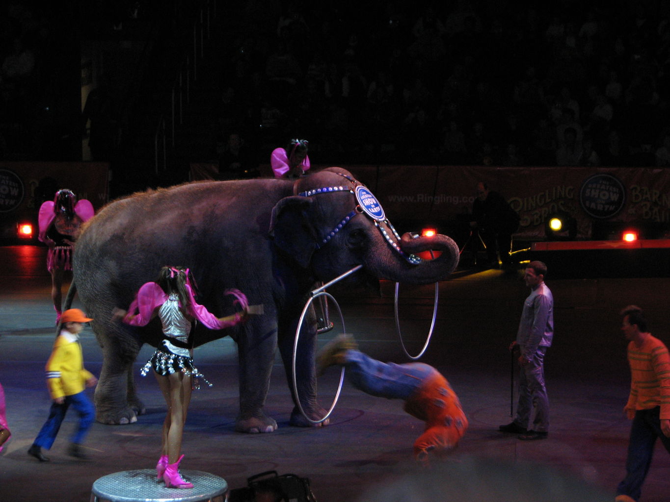 James goes to the Circus