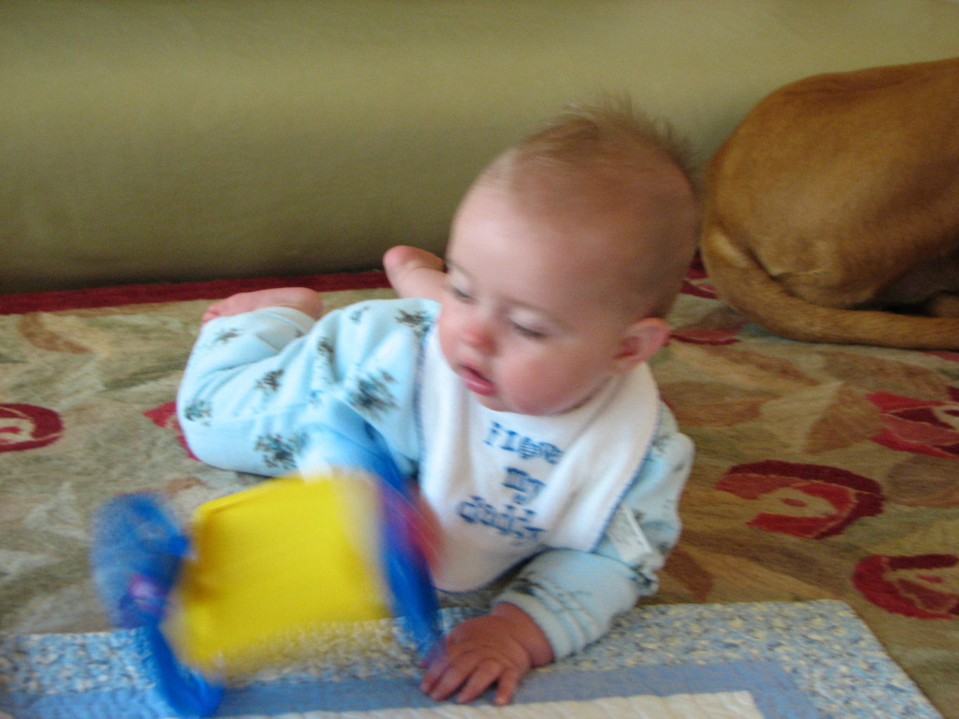 Hazel Rolling and Fussing