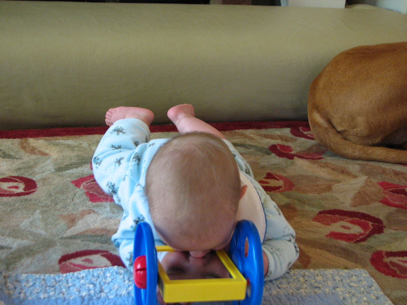 Hazel Rolling and Fussing
