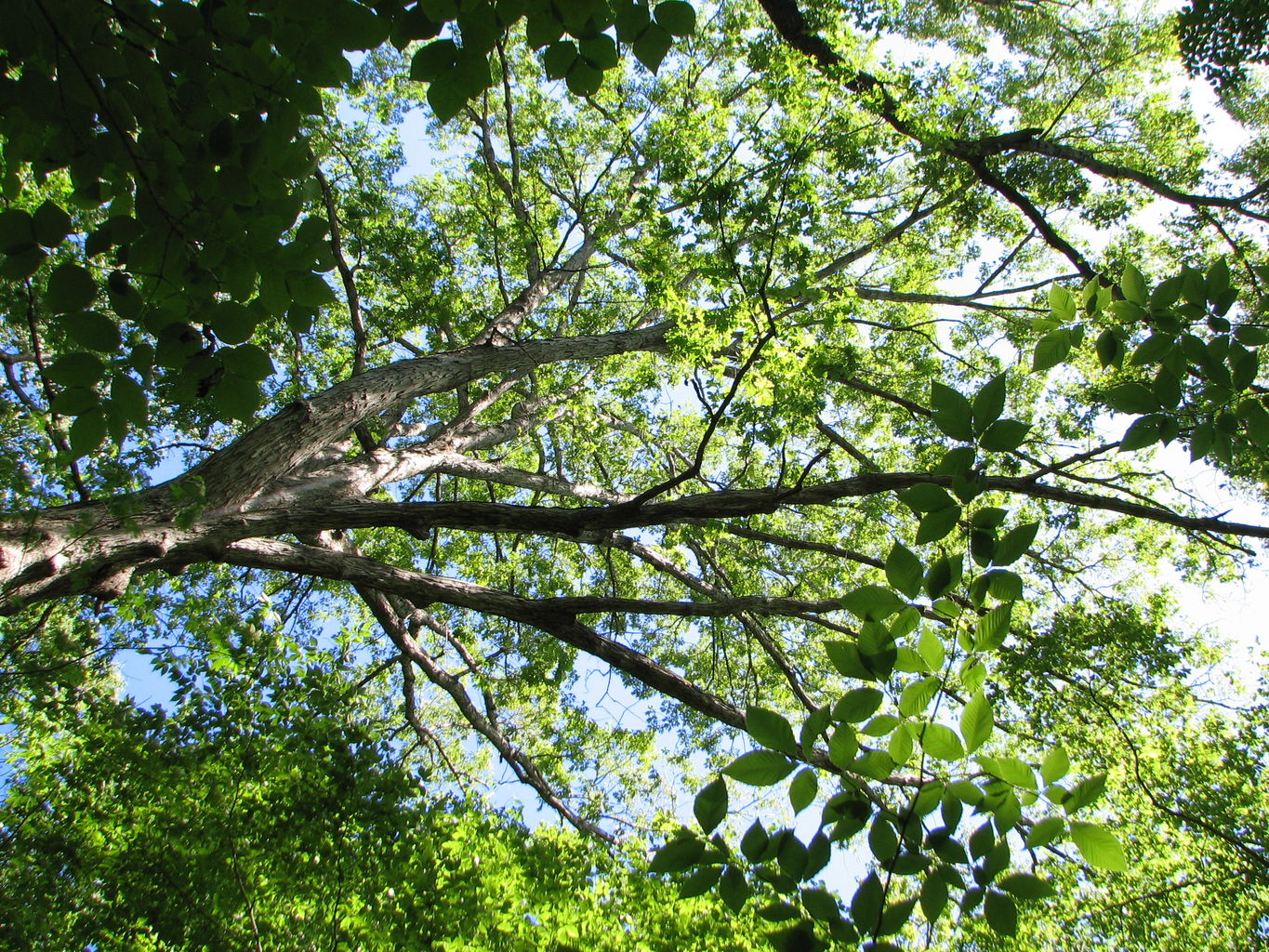 Sunday at Athens Memorial Park