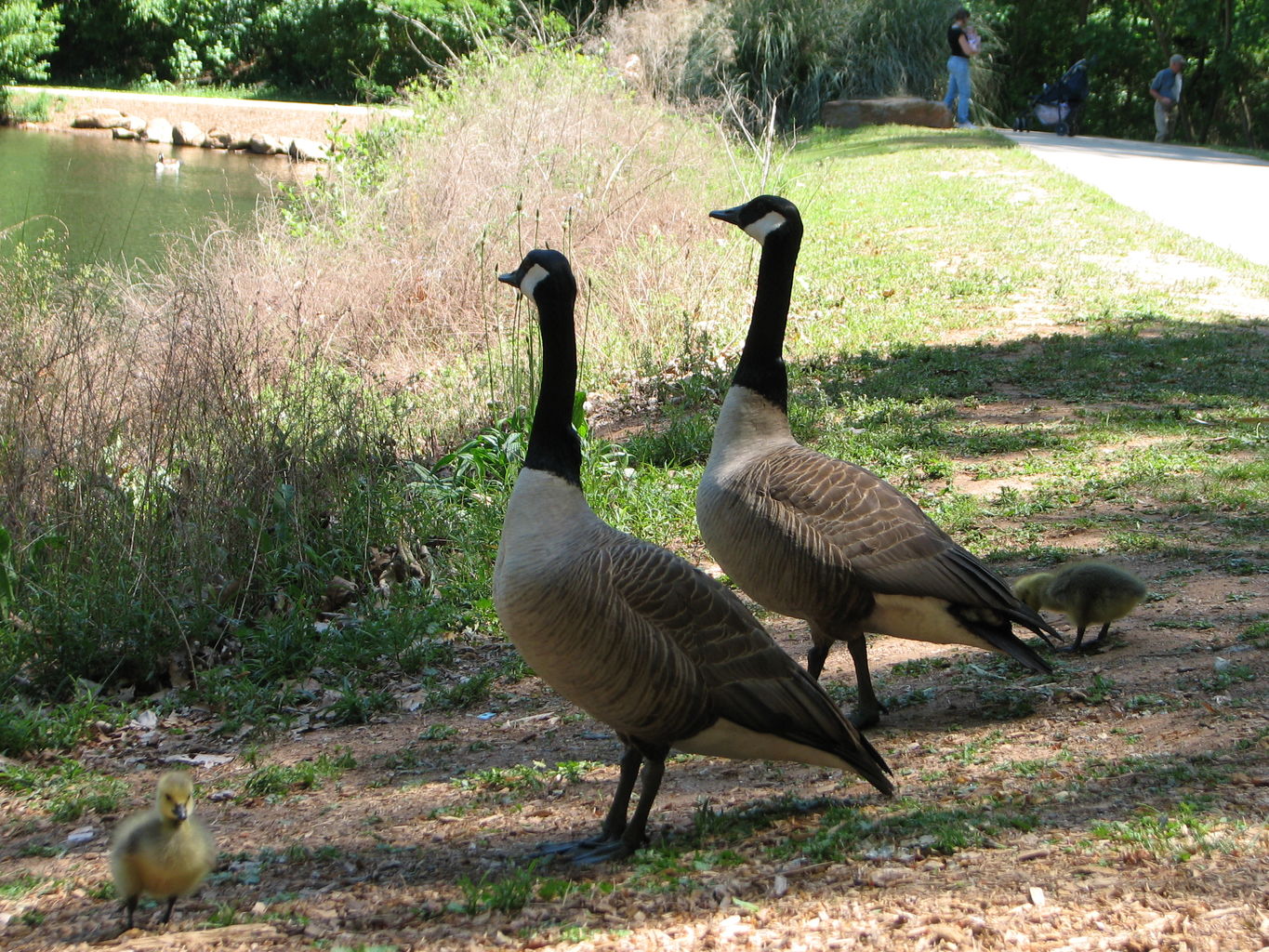 Sunday at Athens Memorial Park