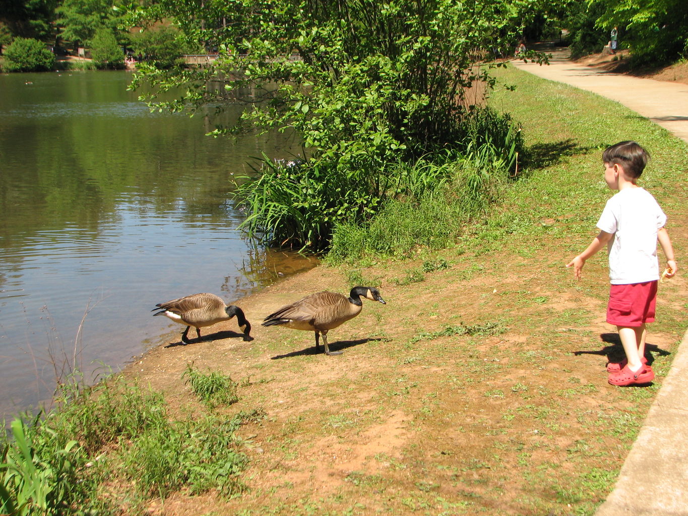 Sunday at Athens Memorial Park