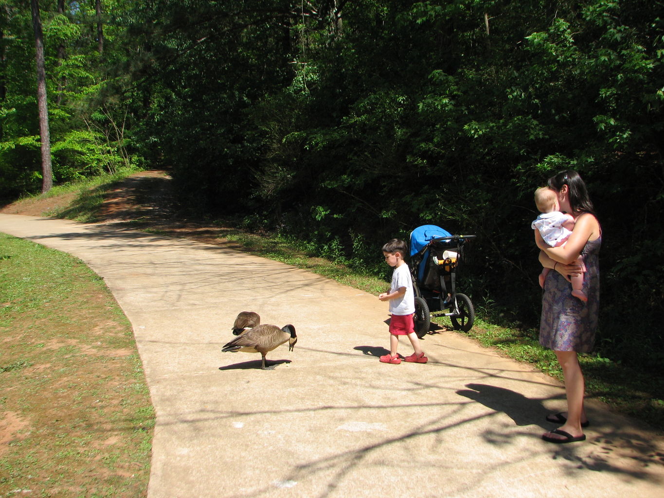 Sunday at Athens Memorial Park