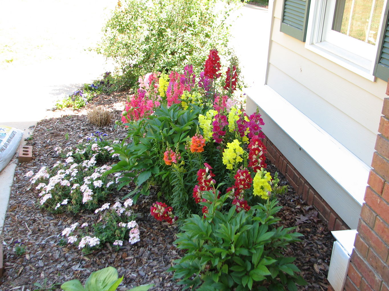 Erin's Flowers