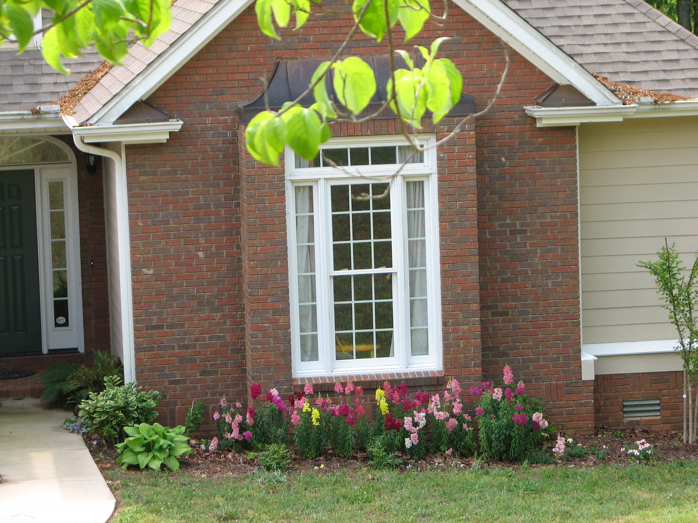 Garden Pictures