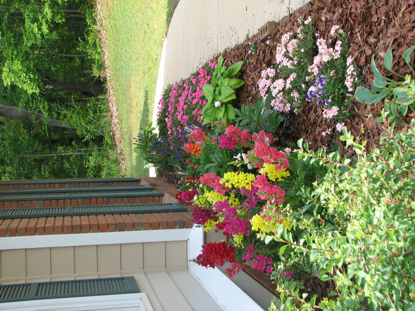 Garden Pictures
