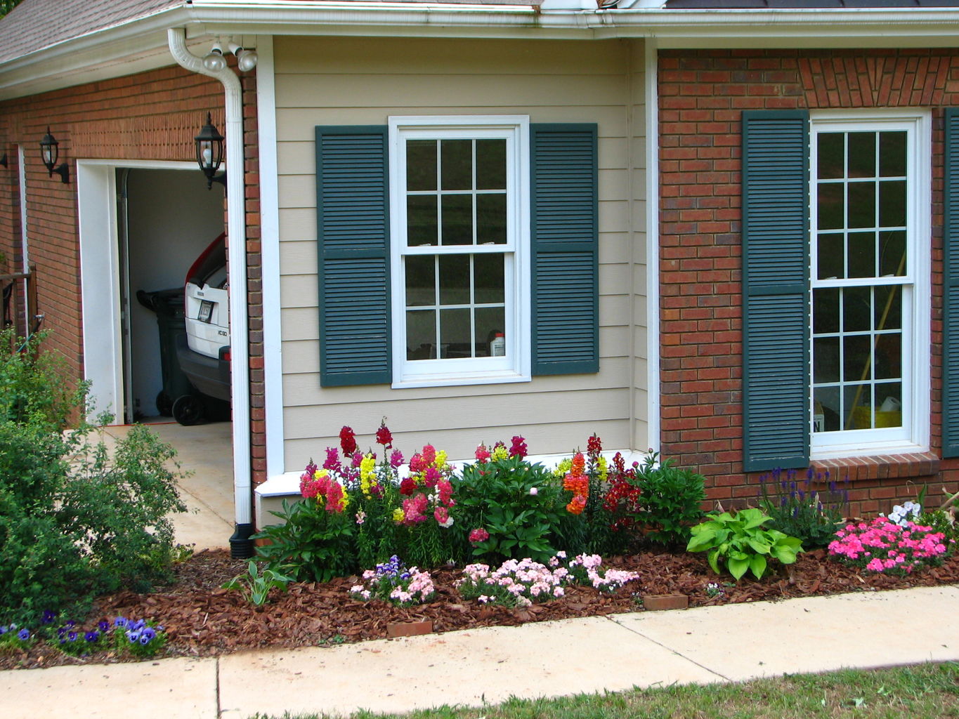 Garden Pictures