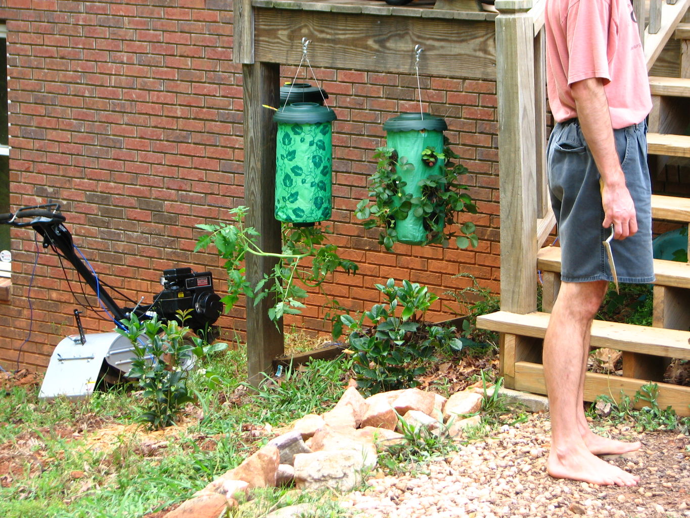 Garden Pictures