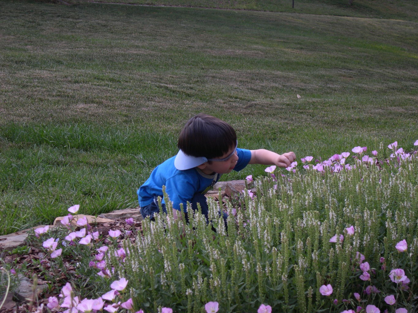 James Camping at NaNa and PaPa's House