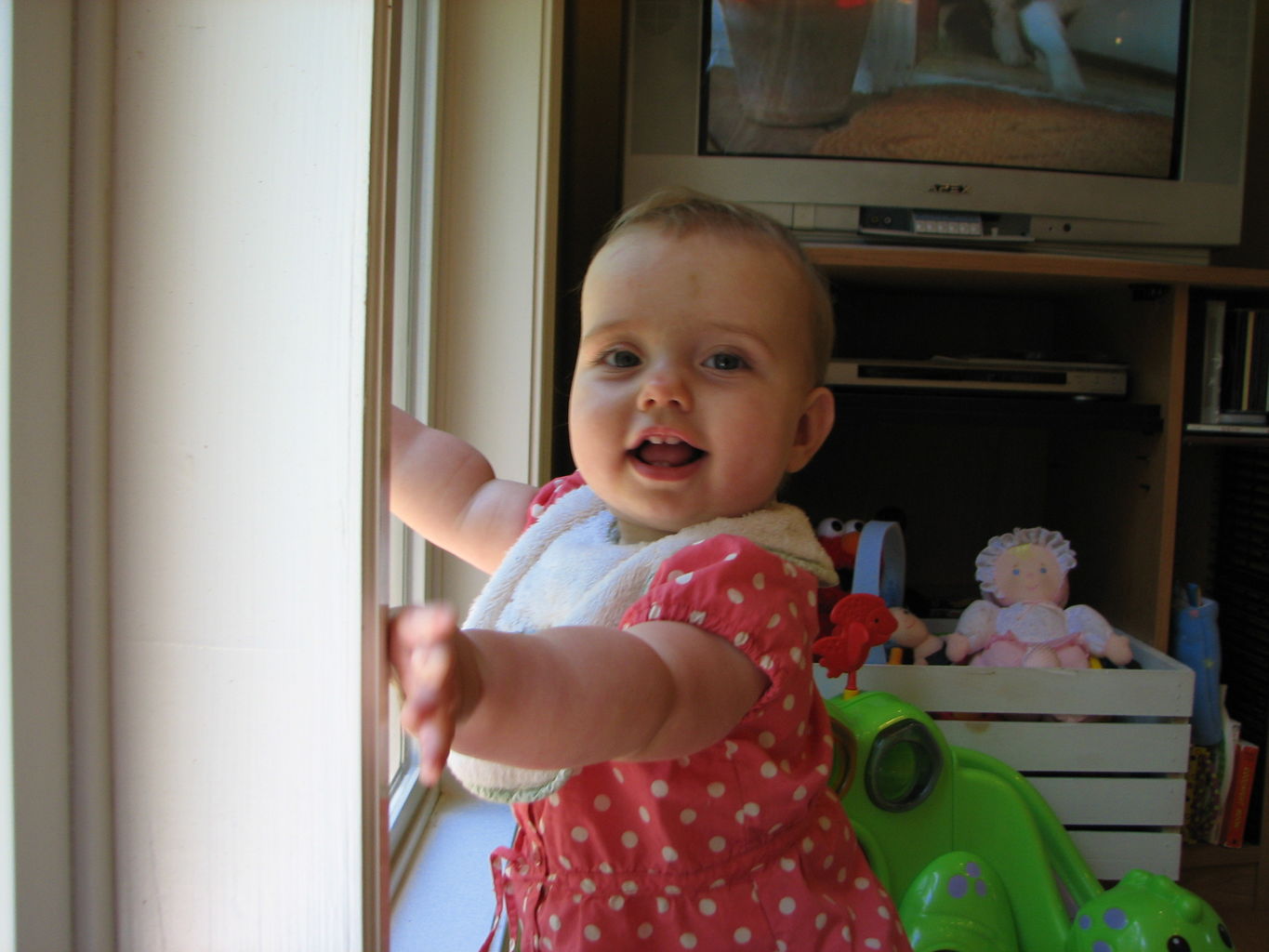Hazel in the Window