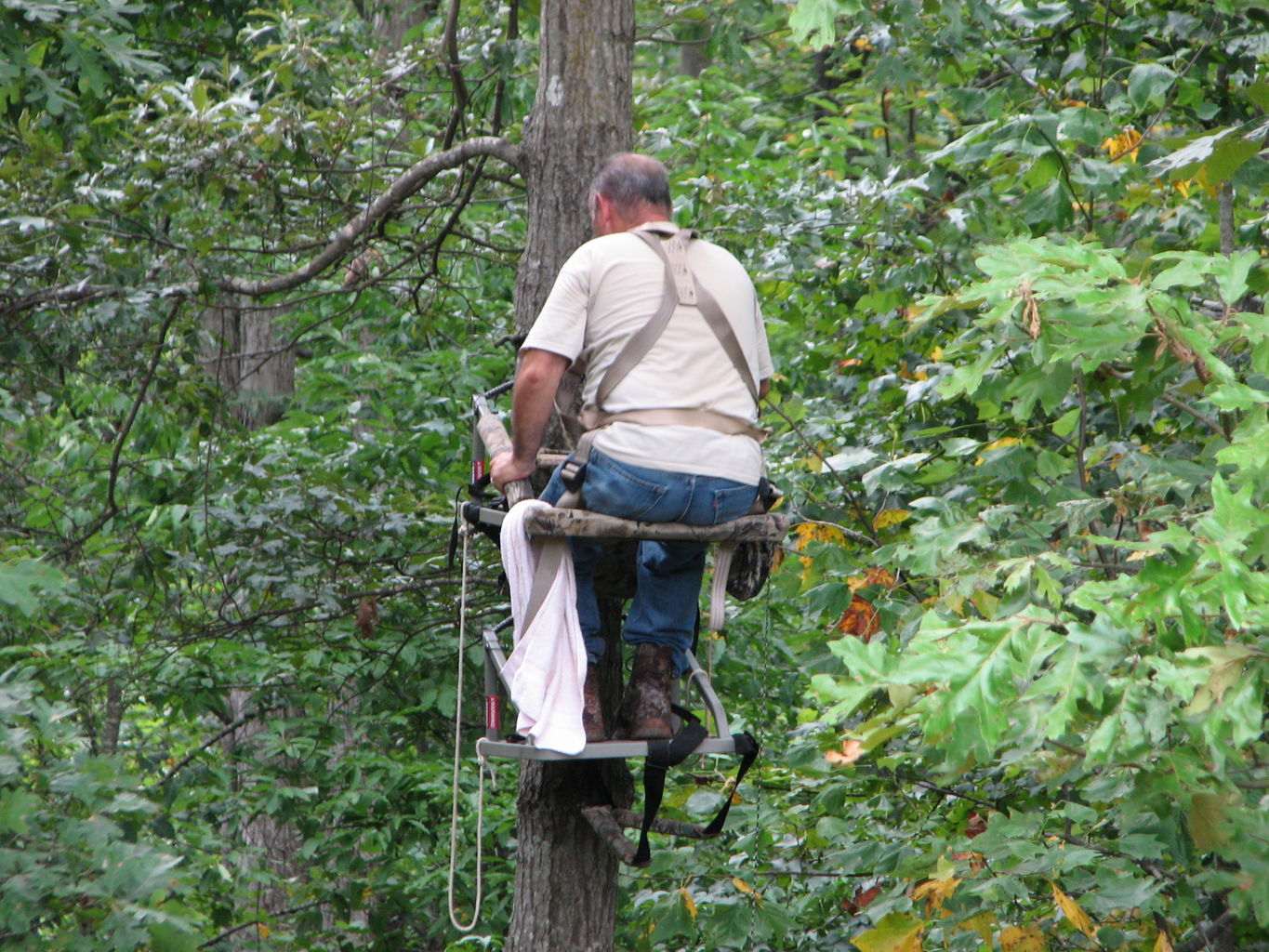 Ham Radio Antenna