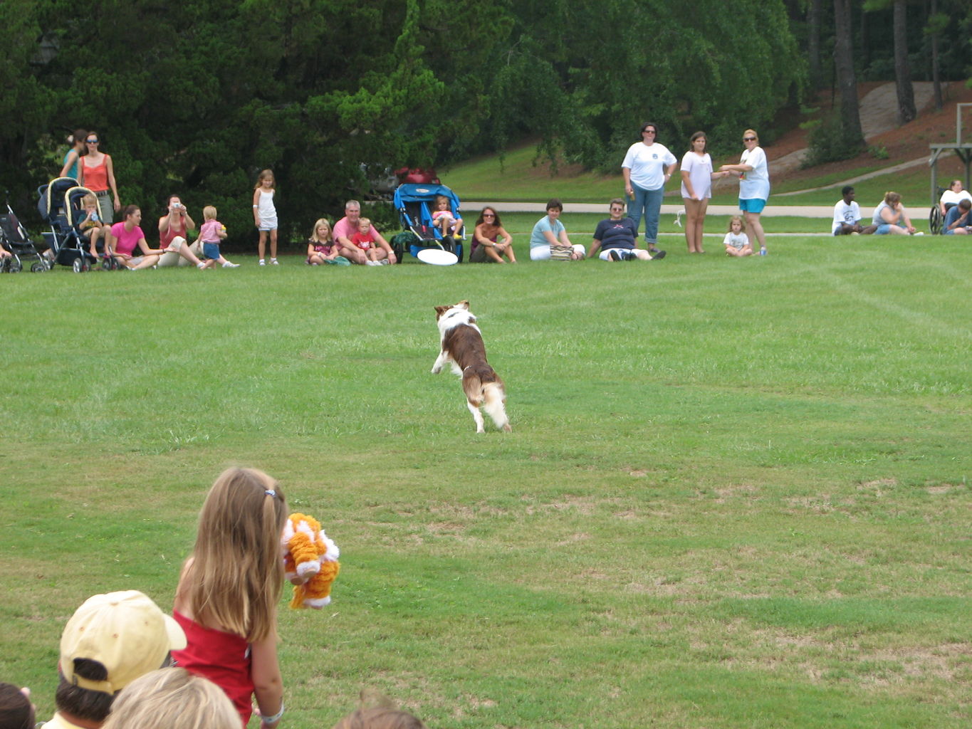 Not-Quite Balloon Festival at Callaway Gardens