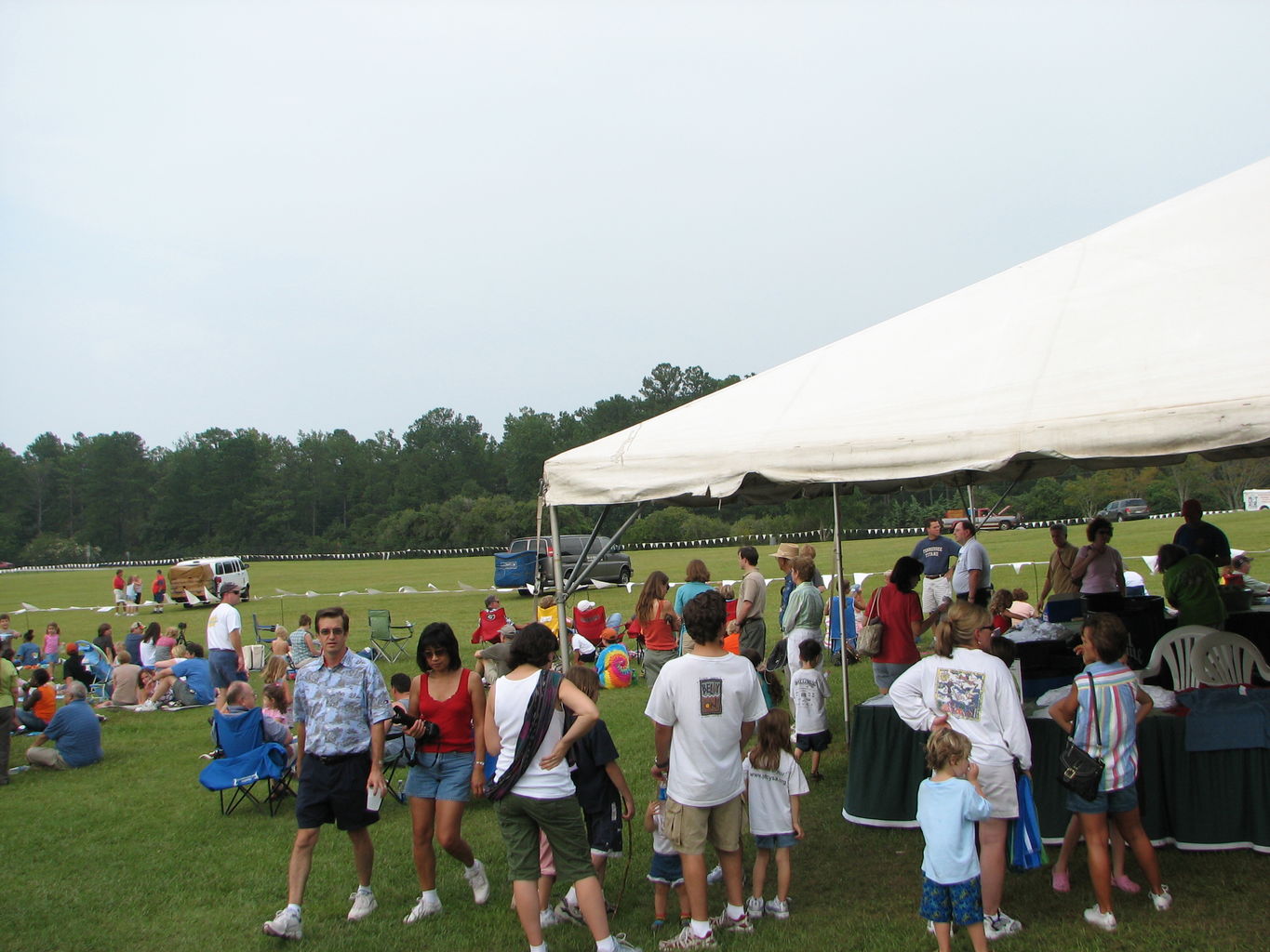 Not-Quite Balloon Festival at Callaway Gardens