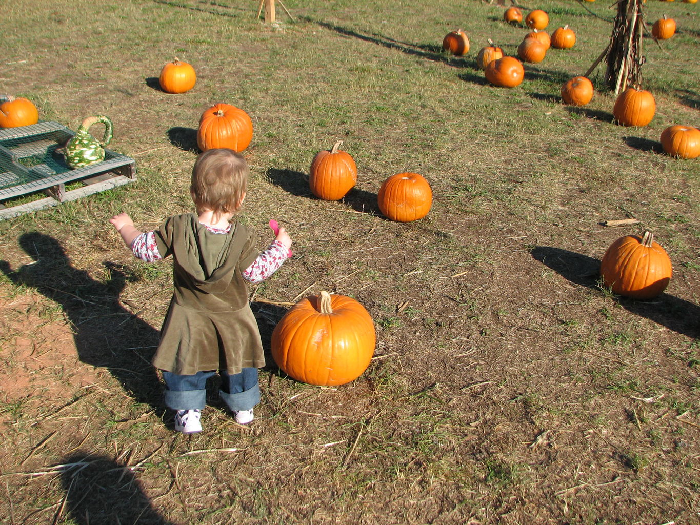 Halloween 2007