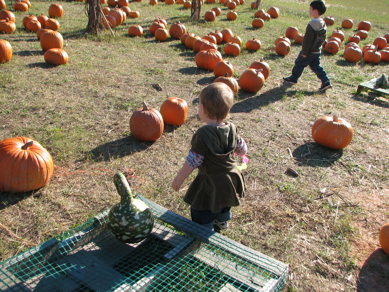 Halloween 2007