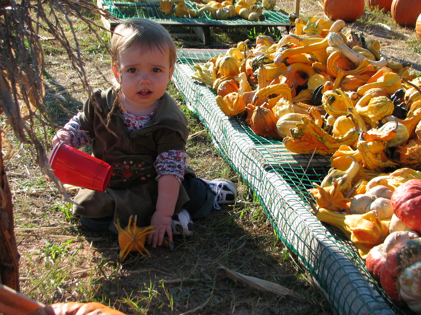 Halloween 2007