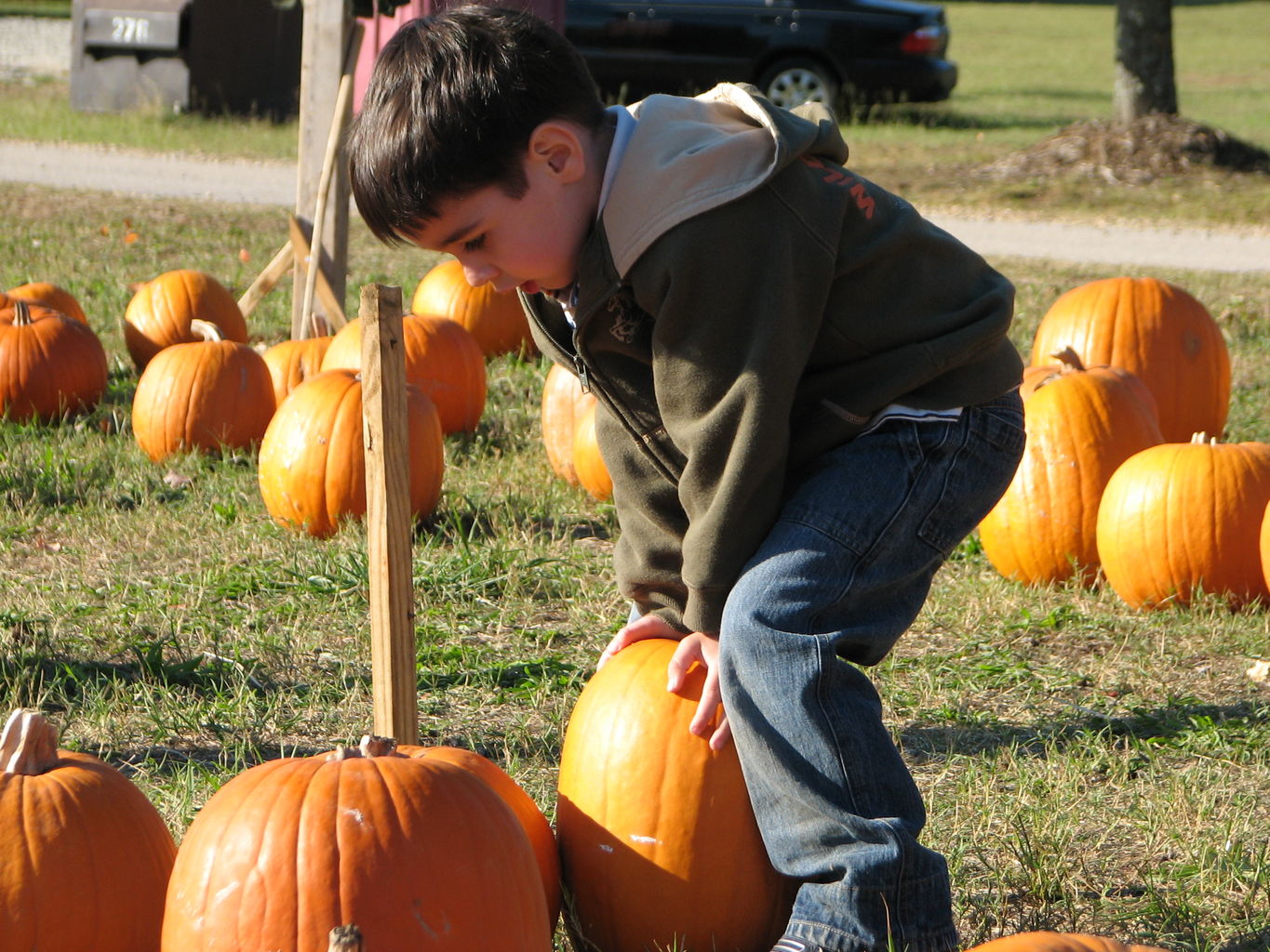 Halloween 2007