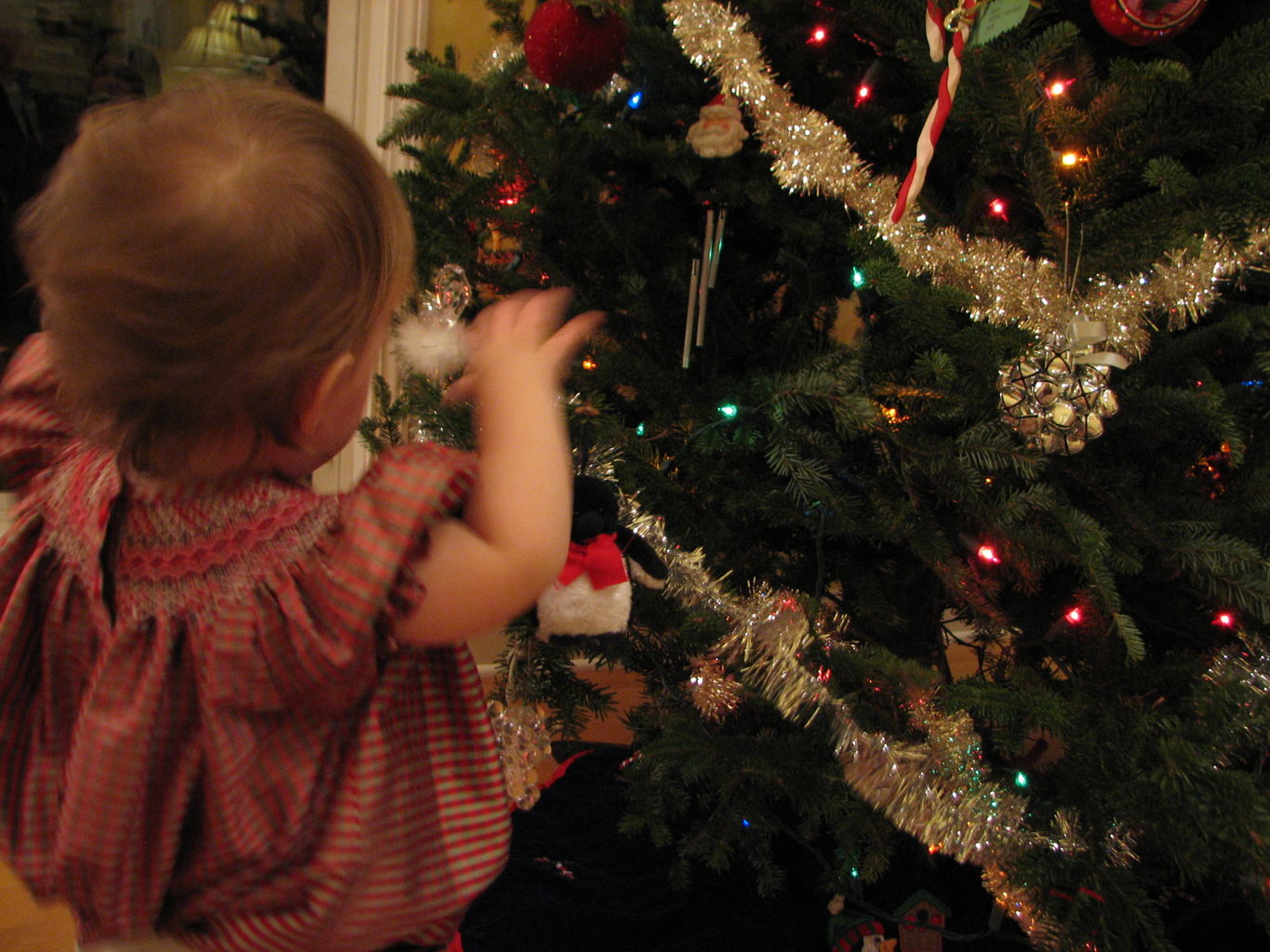 Christmas Pictures