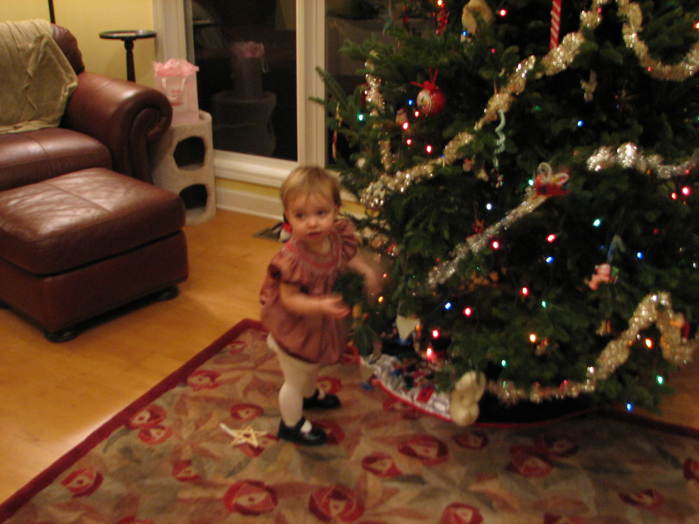 Christmas Pictures