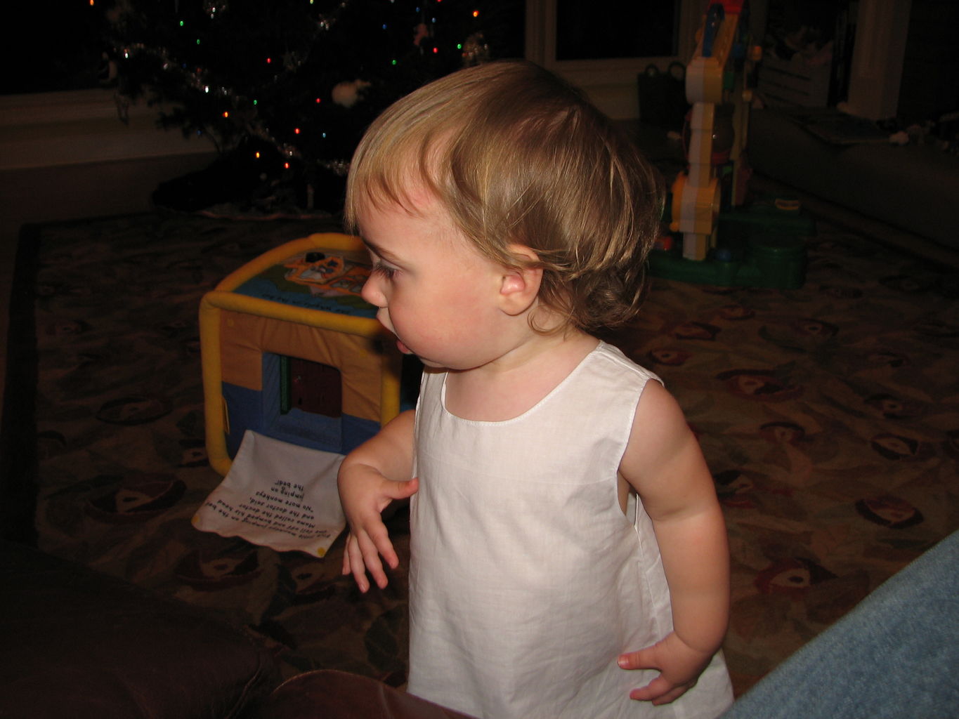 Christmas Pictures